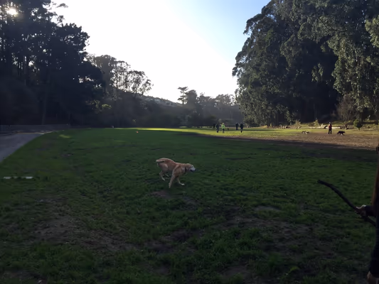 Stern Grove Dog Play Area photo 1